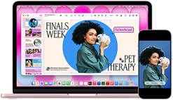 MacBook Neo, Farbe Rosa, neben einem iPhone, das MacBook Neo Display zeigt eine Präsentation mit dem Titel „Finals Week Pet Therapy“ mit dem Foto einer Person, die ein Kaninchen hält, das iPhone Display zeigt das gleiche Foto, das in einen Sticker für die Präsentation verwandelt wurde